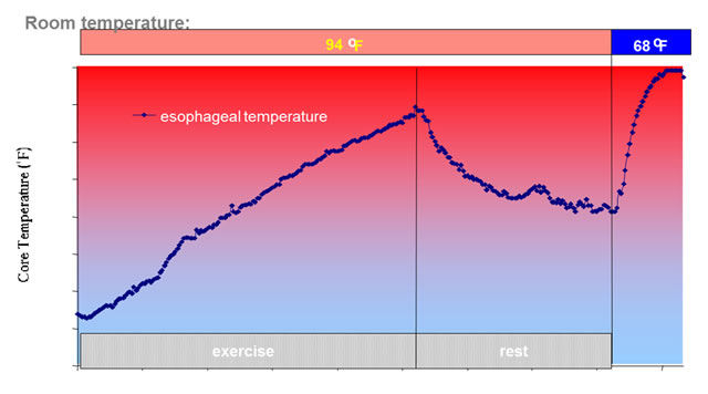 身体の外部から冷却された場合の体温回復グラフ