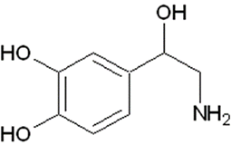 ノルアドレナリン（Noradrenalin :Norad）